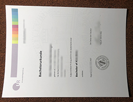 Universität Regensburg Urkunde sample