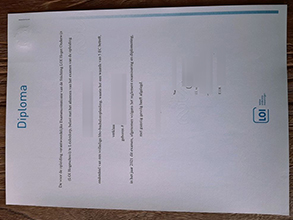 Leidse Onderwijsinstellingen Credentials