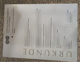 Martin-Luther-Universität Halle-Wittenberg Credentials
