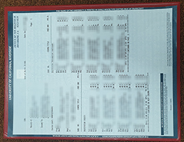 UC Riverside Academic record