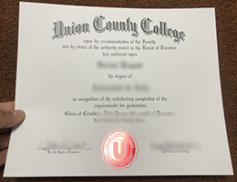 Union County College Credentials