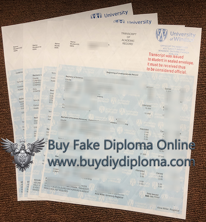 University of Windsor Academic record