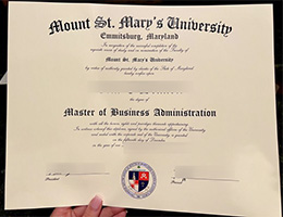 Mount St. Mary's University Credentials