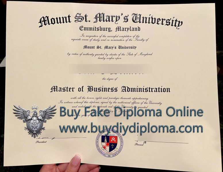 Mount St. Mary's University Credentials