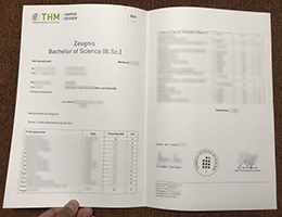 Technische Hochschule Mittelhessen Academic record sample