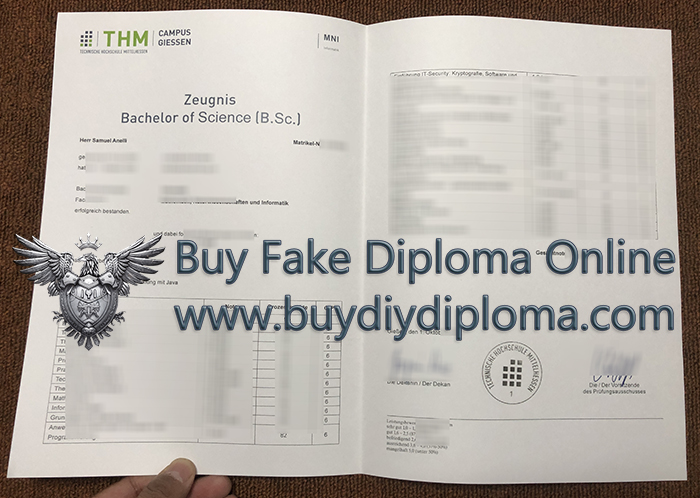 Technische Hochschule Mittelhessen Academic record