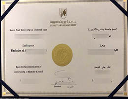 Beirut Arab University (BAU) Credentials