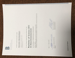 Berner Fachhochschule Credentials