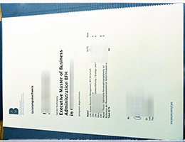 Berner Fachhochschule Academic record