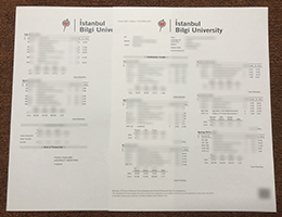 BİLGİ Academic record