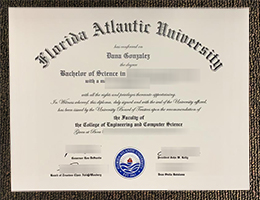 Florida Atlantic University Credentials Credentials