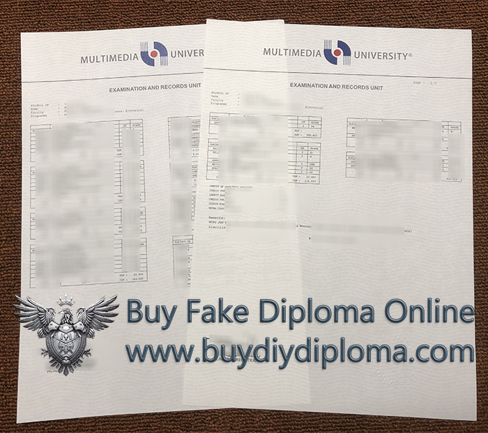 Multimedia University Academic record