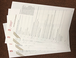 Rijksuniversiteit Groningen Academic record