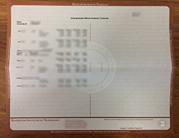 Rochester Institute of Technology Academic record