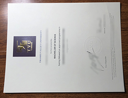 Thames Valley University Qualification