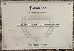 Audencia Business School Qualification Credentials