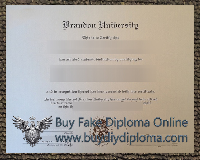 Brandon University Qualification