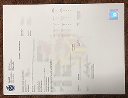 Cardiff Metropolitan University Academic record sample