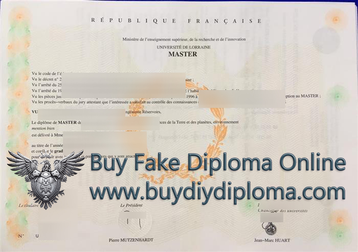 Université de Lorraine Credentials