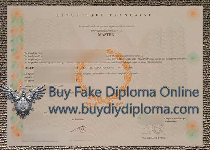 University of Bordeaux III Credentials