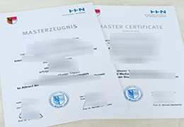 Hochschule Heilbronn Master Zeugnis sample
