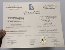 Lebanese University Credentials