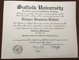 Suffolk University BSc Credentials