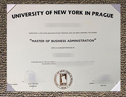 University Of New York In Prague Qualification certifiate