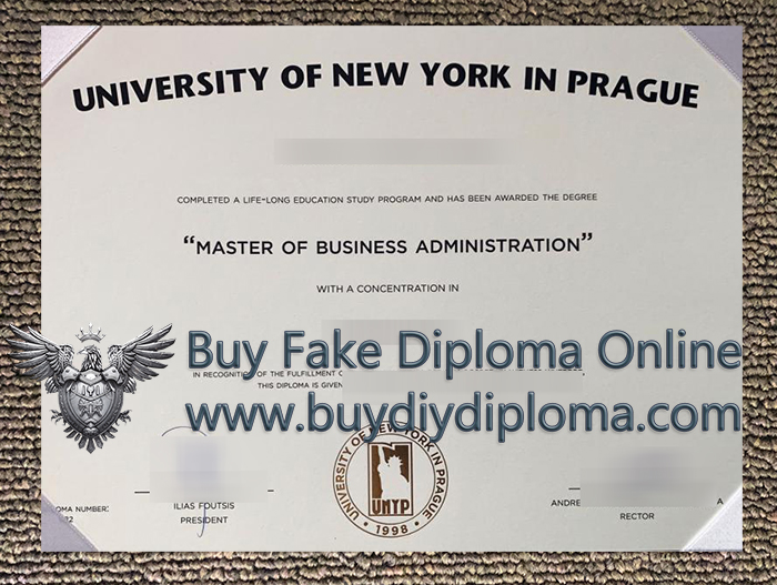 University Of New York In Prague Qualification