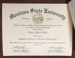 Montana State University Credentials Credentials
