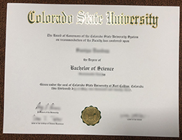 CSU Credentials