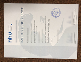 Heinrich-Heine-Universität Düsseldorf Qualification Credentials