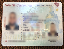 South Carolina Driver License Reproduction