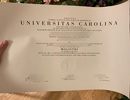 Univerzita Karlova Qualification