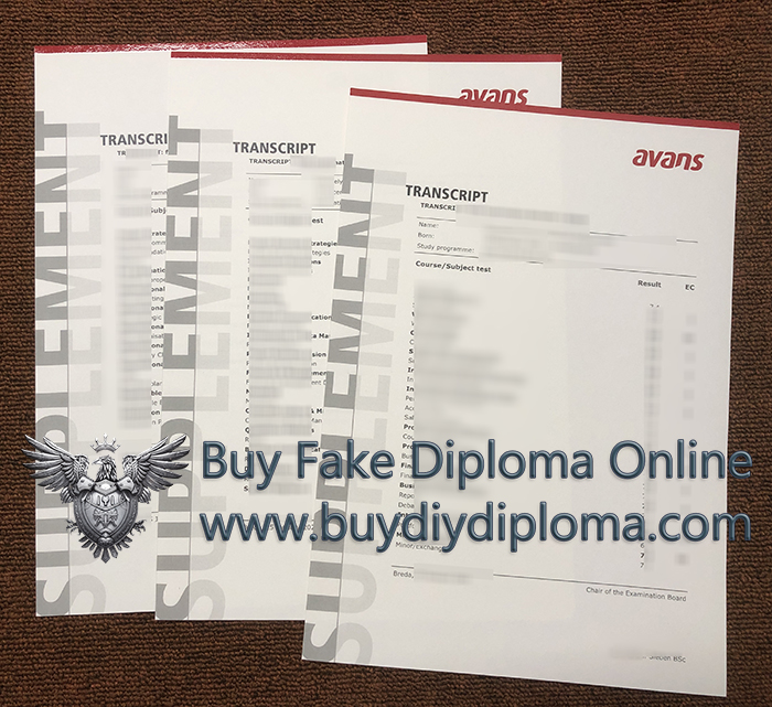 Avans Hogeschool Academic record sample