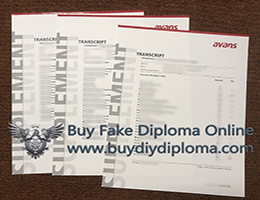 Avans Hogeschool Academic record