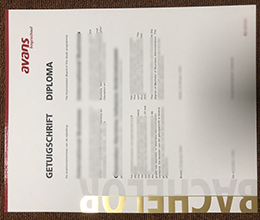 Avans Hogeschool Credentials