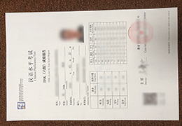 HSK (Level 6) Test Score Report, HSK (Level 6) Academic record