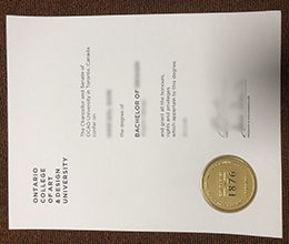 OCAD University Qualification sample