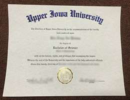 Upper Iowa University Credentials sample