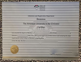 American University in the Emirates Qualification