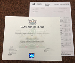 Langara College Qualification and Academic record sample