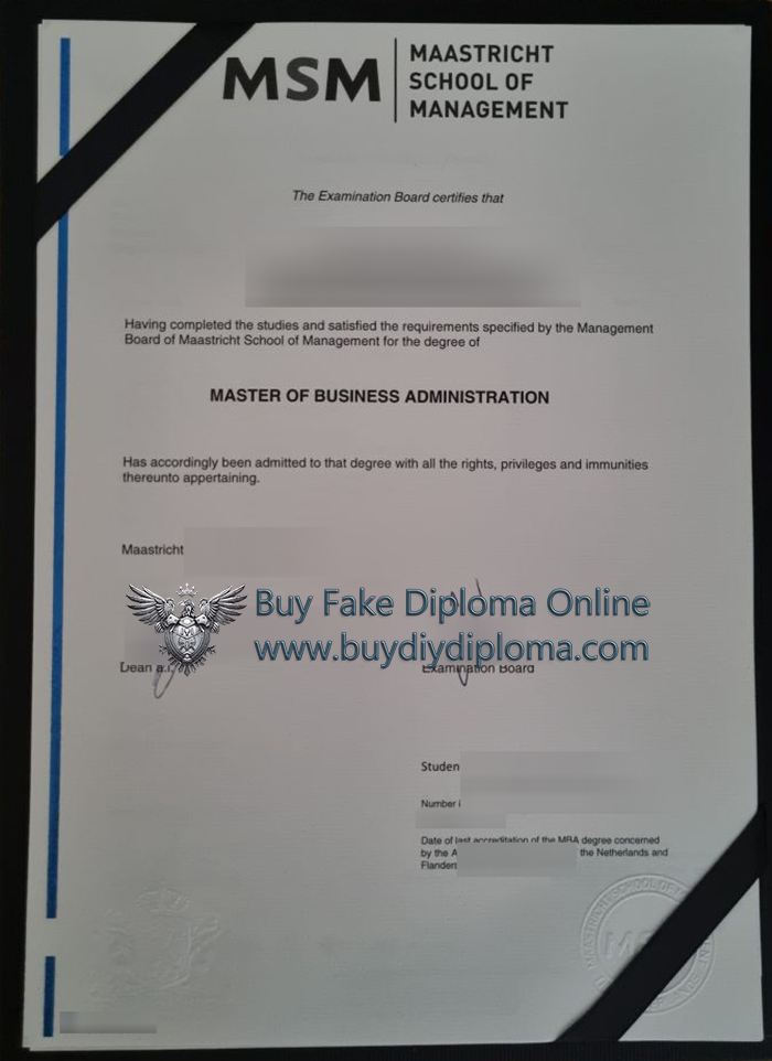 Maastricht School Of Management MBA Credentials