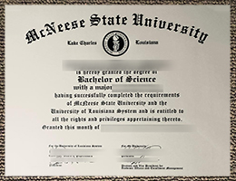 McNeese State University Qualification