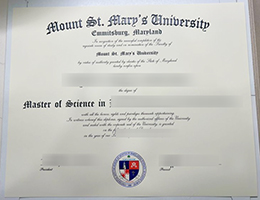 Mount St. Mary's University Credentials Credentials