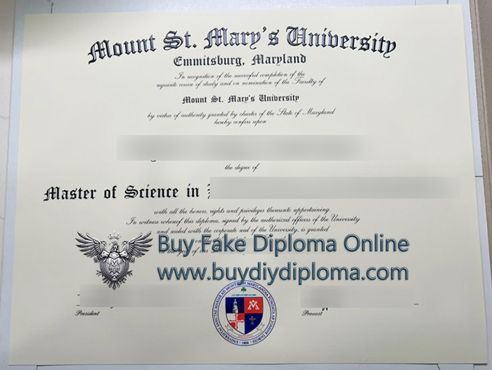 Mount St. Mary's University Credentials