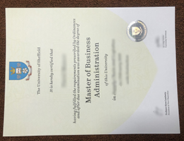 University of Sheffield MBA Qualification sample