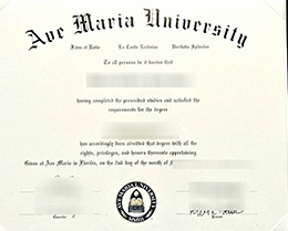 Ave Maria University Qualification Credentials