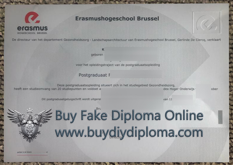 Erasmushogeschool Brussel Qualification