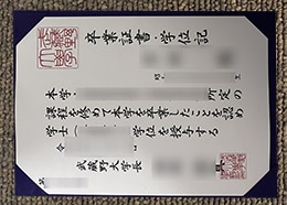 Musashino University Qualification Credentials